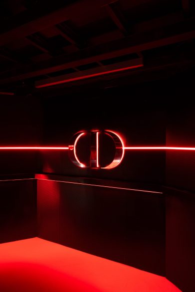 ROUGE DIOR ON STAGE - LAB Productions